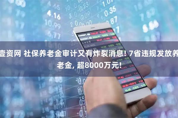 壹资网 社保养老金审计又有炸裂消息! 7省违规发放养老金, 超8000万元!