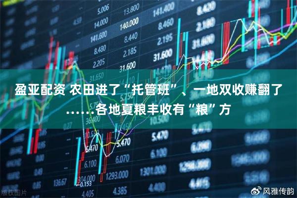盈亚配资 农田进了“托管班”、一地双收赚翻了……各地夏粮丰收有“粮”方