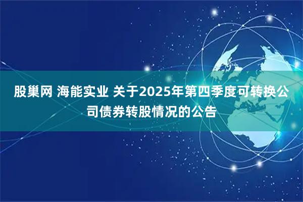股巢网 海能实业 关于2025年第四季度可转换公司债券转股情况的公告